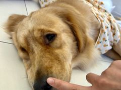 -怪兽屋·羊驼·猫咖·狗咖(俊华广场店)