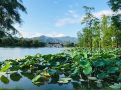 -飞来湖湿地公园