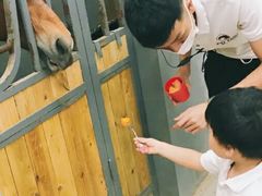 -骑乐马术(广州奥体优托邦中心)