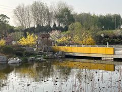 -石家庄市植物园