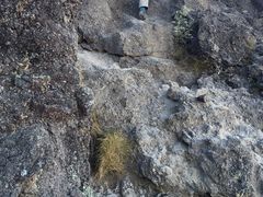 -乞力马扎罗山