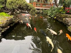 -聚福宝合苑食府(南头镇店)