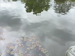 -西湖游船