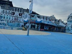 -芜湖新华联大白鲸海洋公园