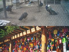 -罔极寺