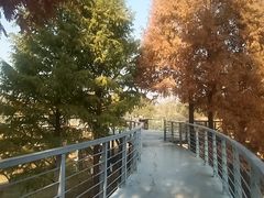 -无锡梅园公园