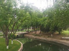 -三里河公园
