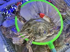 -日照大牌檔•小船海鲜(万平口店)