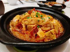 蚝汁海胆有机豆腐煲-北京厨房(SKP店)