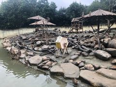 -常州淹城野生动物世界