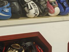 -温鉴良实用咏春拳
