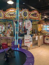 -卡通尼·Safari非洲探索乐园·生日会(金桥国际商业广场店)