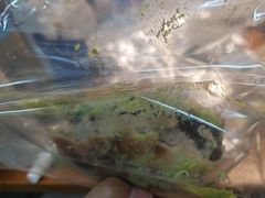 -七叔是岛民(大学城gogo新天地店)