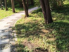 -北陵公园
