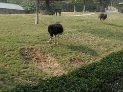 -石家庄市动物园