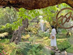 -Chom Cafe and Restaurant