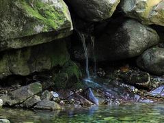 -秦岭风景区