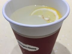 -哈根达斯(石家庄北国店)