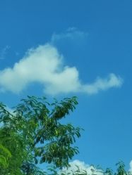 -佛灵湖水上乐园