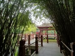 -棠湖公园