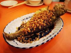 -雅苑餐厅(朝天路店)
