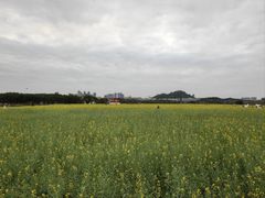 -光明小镇欢乐田园