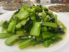 -梅子大排档