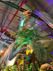 -恐龙探索乐园(磁器口店)