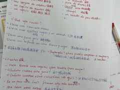 -西班牙语王国