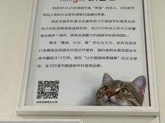 -纳吉亚猫专科动物诊疗中心(蒋宅口分院)