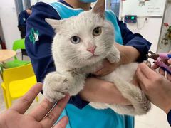 -佳雯宠物医院(四明中路分院)