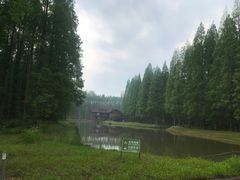 -黄海国家森林公园