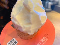 -野人牧坊Gelato(天津南开大悦城店)