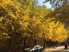 iphone_upload_pic-辽宁大学(崇山校区)