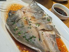 葱油鲜鲈鱼-味莊餐厅(康庄南街店)