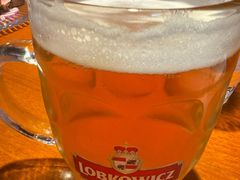 -布拉格餐厅· 中欧捷克菜(全国首店)