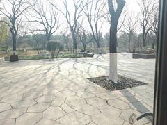 -阳澄湖费尔蒙酒店颐丰阁中餐厅(马鞍山西路店)