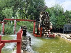 -水车博览园