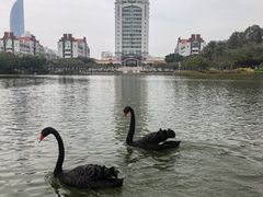 -厦门大学(思明校区)