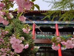 -长安寺