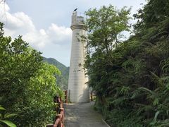 -羚羊峡古栈道森林公园
