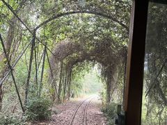 -合肥滨湖国家森林公园