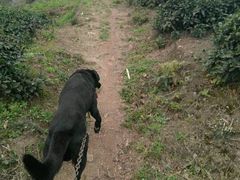 -荣耀金沙动物医院(清江西路店)