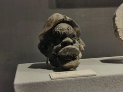 -浙江西湖美术馆