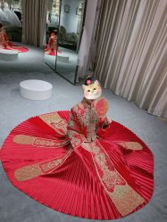 -Sunny喜铺婚礼定制·求婚策划