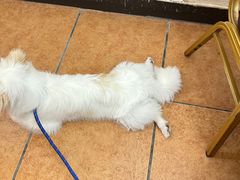 -吉莲利苑海鲜酒家(珠海拱北28年老字号店)