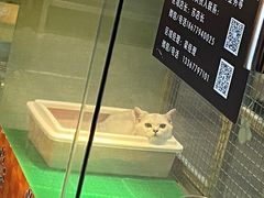 -汤姆宠物(长青北路店)