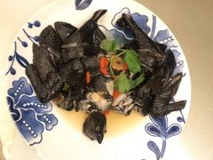 药膳鸡-沙龙酒家