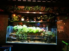 -牛品福潮汕牛肉火锅(旺庄店)