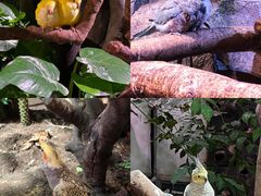-正佳雨林生态植物园